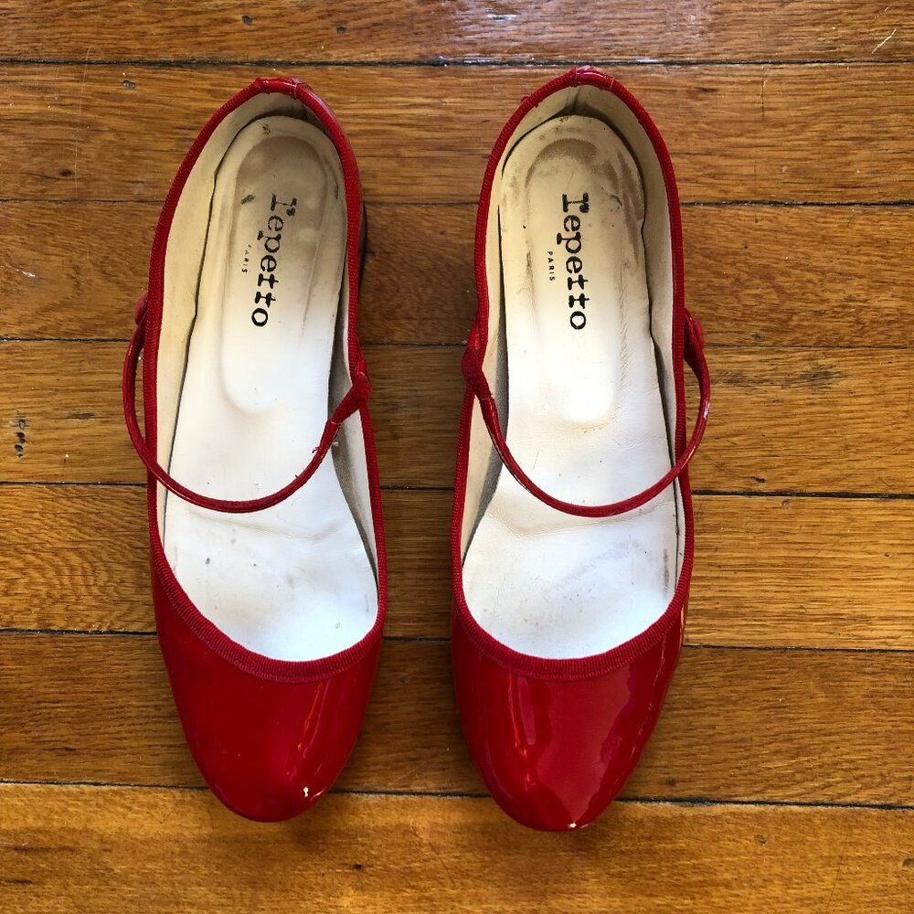 Repetto “Rose” Mary Jane-style heels